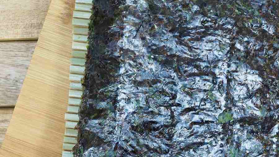 污水處理菌種培養方法(污水處理菌種有哪些) 污水處理菌種培養方法(污水處理菌種有哪些)