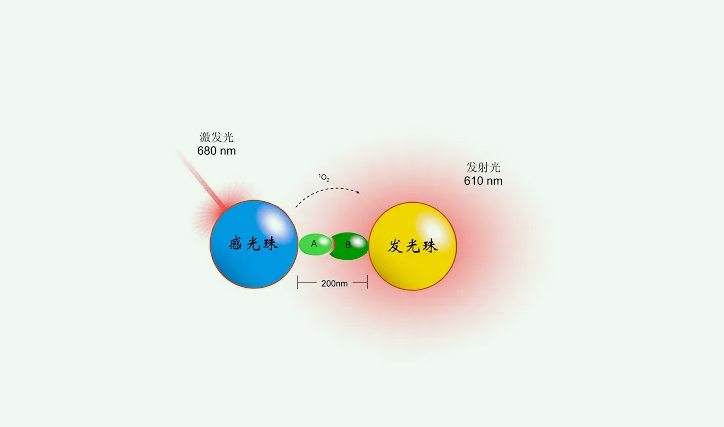化學發光法準確度高嗎(化學發光法是什么原理) 化學發光法準確度高嗎(化學發光法是什么原理)